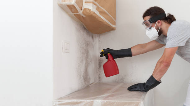 Professional Black Mold Removal technician working in Manville, NJ