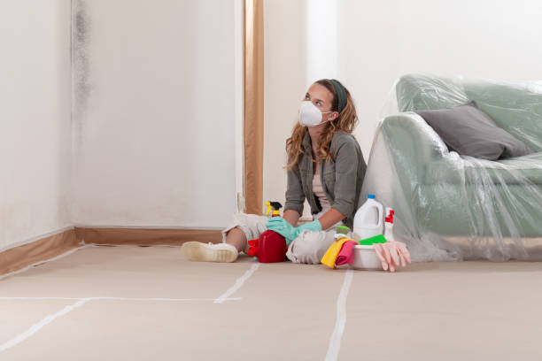 Reliable Black Mold Removal contractor in Manville, NJ by WQB Mold Removal
